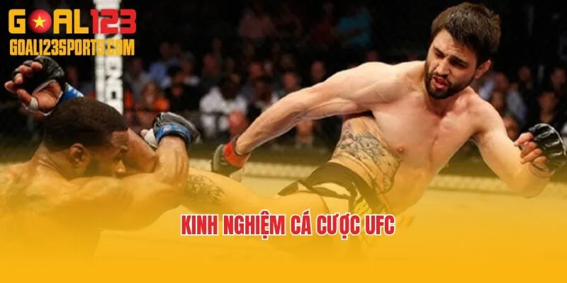Kinh nghiệm cá cược UFC