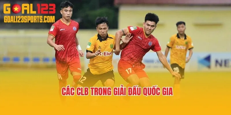 Các clb trong Giải đấu Quốc gia