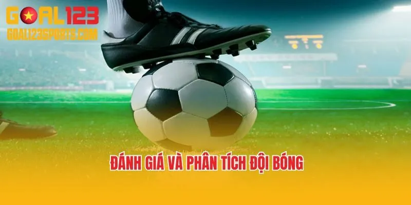 Đánh giá và phân tích đội bóng 